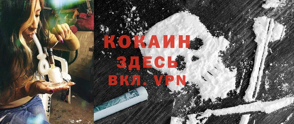 молекула духа Дмитров