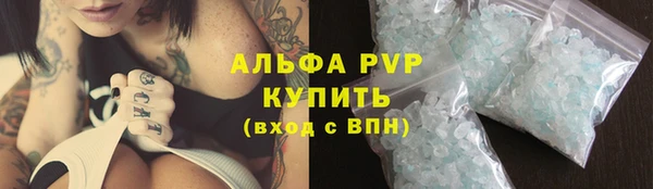 PSILOCYBIN Гусев