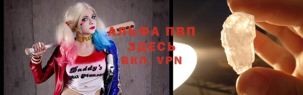 молекула духа Дмитров