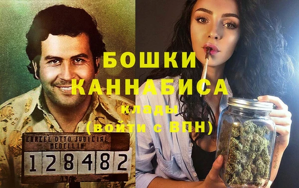ПСИЛОЦИБИНОВЫЕ ГРИБЫ Гусиноозёрск