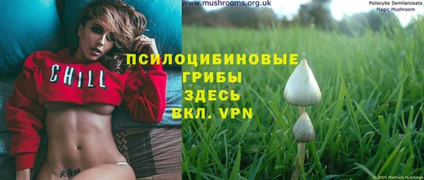 прущие крисы Шарыпово
