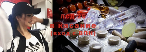молекула духа Дмитров